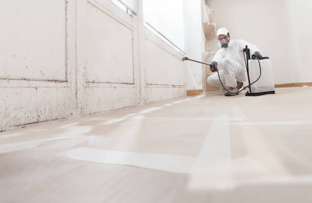 24/7 Emergency Black Mold Remediation experts in Glen Hope, PA